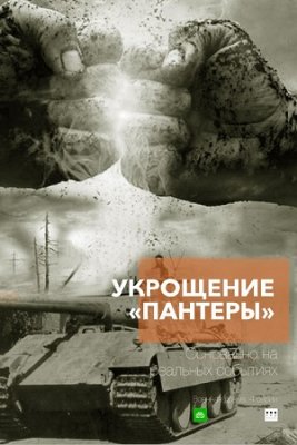 Укрощение "Пантеры"